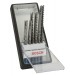 BOSCH Zest. brzeszczotów do wyrz. Progressor, Robust Line, 6 szt. 2607010531
