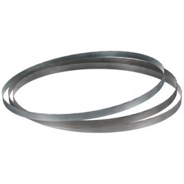 DeWALT DWAPB27183 Brzeszczot taśmowy bimetalowy, 18 Tpi