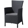 ALLIBERT IOWA Fotel ogrodowy, 62 x 60 x 89 cm, grafit/jasny szary 17197853