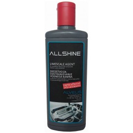 ALVEUS ALLSHINE Płyn do czyszcznia zlewozmywaków 250ml 1083829