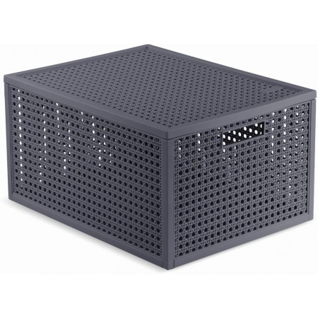 CURVER KAYA M 20L Koszyk z pokrywą 37,6 × 30 × 20,7 cm, ciemnoszary 17213763 CURVER KAYA M 20L Koszyk z pokrywą 37,6 × 30 × 20,7 cm, ciemnoszary 17213763