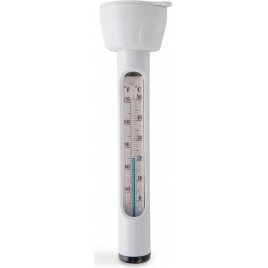 INTEX Termometr Basenowy 28093