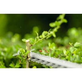 BOSCH GHE18V-50FP PROFESSIONAL Sekator akumulatorowy 06008D5100