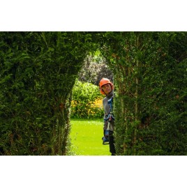 BOSCH GHE18V-50FP PROFESSIONAL Sekator akumulatorowy 06008D5100