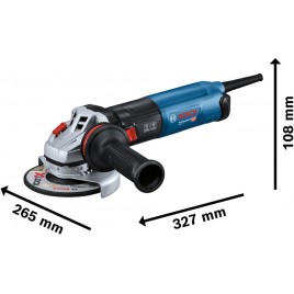 BOSCH GWS 17-125 PROFESSIONAL Szlifierka kątowa 06017D0200