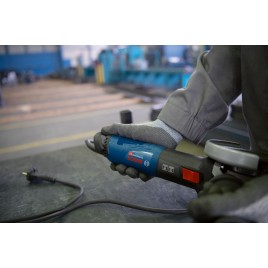 BOSCH GWS 17-125 TS PROFESSIONAL Szlifierka kątowa 06017D0400