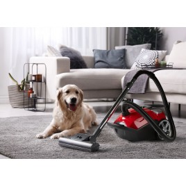 DOMO ANIMAL PRO Odkurzacz workowy 800 W DO42104S