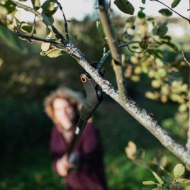 Fiskars Solid Sekator ogrodowy 1073082