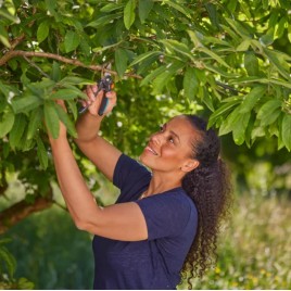Gardena PremiumCut Nożyce Ogrodowe do Świeżego Drewna, ø 22mm 12241-20