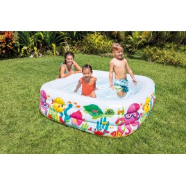INTEX Clearview Aquarium Basenik 157471NP