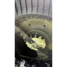 OUTLET Black & Decker LM2000 kosiarka elektryczna 230V (2000W/51cm) PO SERWISIE