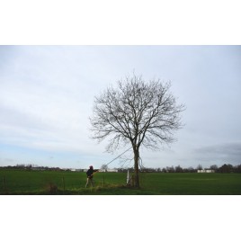 Silky Hayate 5000-6.5 Piła teleskopowa KSI037142