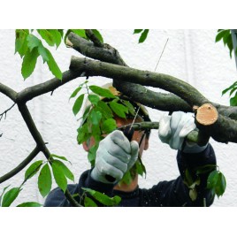 Silky Gomtaro 300-8-14 Pro-Sentei Piła ręczna KSI310830