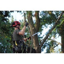 Silky Tsurugi Curve 330-10 Piła ręczna KSI345633