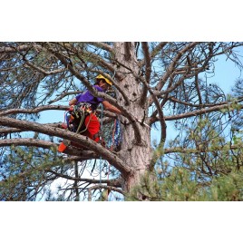 Silky Tsurugi Curve 330-10 Piła ręczna KSI345633