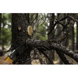 Silky Pocketboy Curve 130-8 Piła Ręczna KSI572613