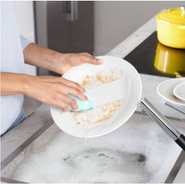VILEDA Zmywak z enzymami Pro Clean 2 szt. 179248