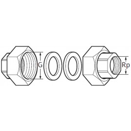 WILO Śrubunek do pomp Rp 1/2 "x G 1" 4090808