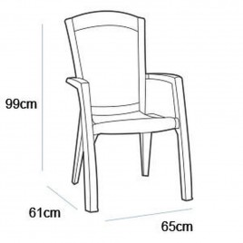 ALLIBERT MINNESOTA Krzesło ogrodowe, 61 x 65 x 99 cm, grafit 17198329