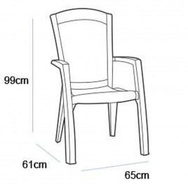 ALLIBERT MINNESOTA Krzesło ogrodowe, 61 x 65 x 99 cm, cappuccino 17198329