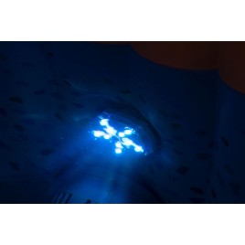 BESTWAY Lay-Z-Spa Lampka LED do SPA, 7 kolorów, 9,2 x 6,2 cm 60303