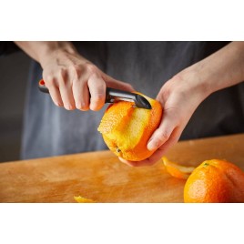 Fiskars Functional Form Skrobaczka z ruchomą głowicą 18cm 1014419