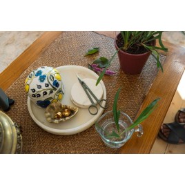Fiskars Plant Care Nożyczki ogrodowe z ostrym czubkiem i etui, 16 cm 1075315