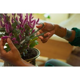 Fiskars Plant Care Nożyczki ogrodowe z ostrym czubkiem i etui, 16 cm 1075315