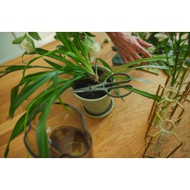 Fiskars Plant Care Nożyczki do roślin z uchwytem, 19 cm 1075316