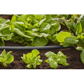 GARDENA Micro-Drip-System-rura montażowa 13 mm 1/2" 15m role, 1346-20