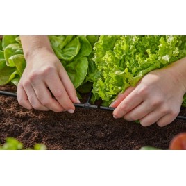 GARDENA MDS T-system rozdzielacz T 4,6 mm 3/16" (10 szt.) 13211-20