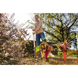 Gardena PureLine Pazurki, narzędzia ogrodowe 17308-20