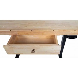 Holzmann Elektrycznie regulowany stół stolarski (40kg/1365x500mm) WB150ELIFT_230V