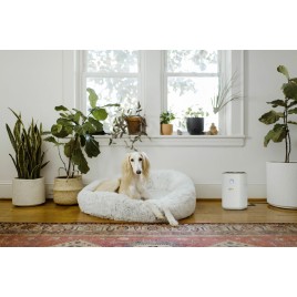 Kärcher AF 20 Oczyszczacz powietrza, Zalecana powierzchnia: 20 m2 / 50 m3, 1.024-820.0