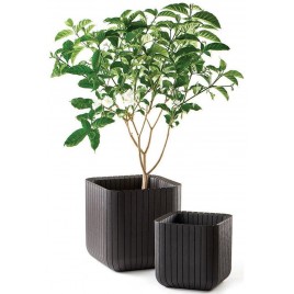 KETER CUBE PLANTER L Doniczka, 39,5 x 39,5 x 39,5 cm, brązowa 17201220