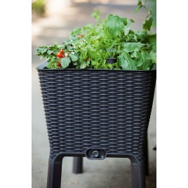 KETER EASY GROW 120L Donica ogrodowa, rattan antracyt 17194592