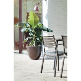 KETER METALINE Plastikowe krzesło ogrodowe, 60 x 53 x 81 cm, żeliwny 17209787